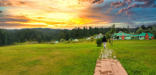 YUSMARG