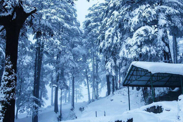 VALE OF KASHMIR || 4N/5D