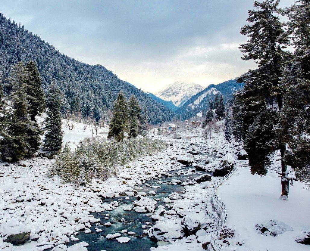 Kashmir