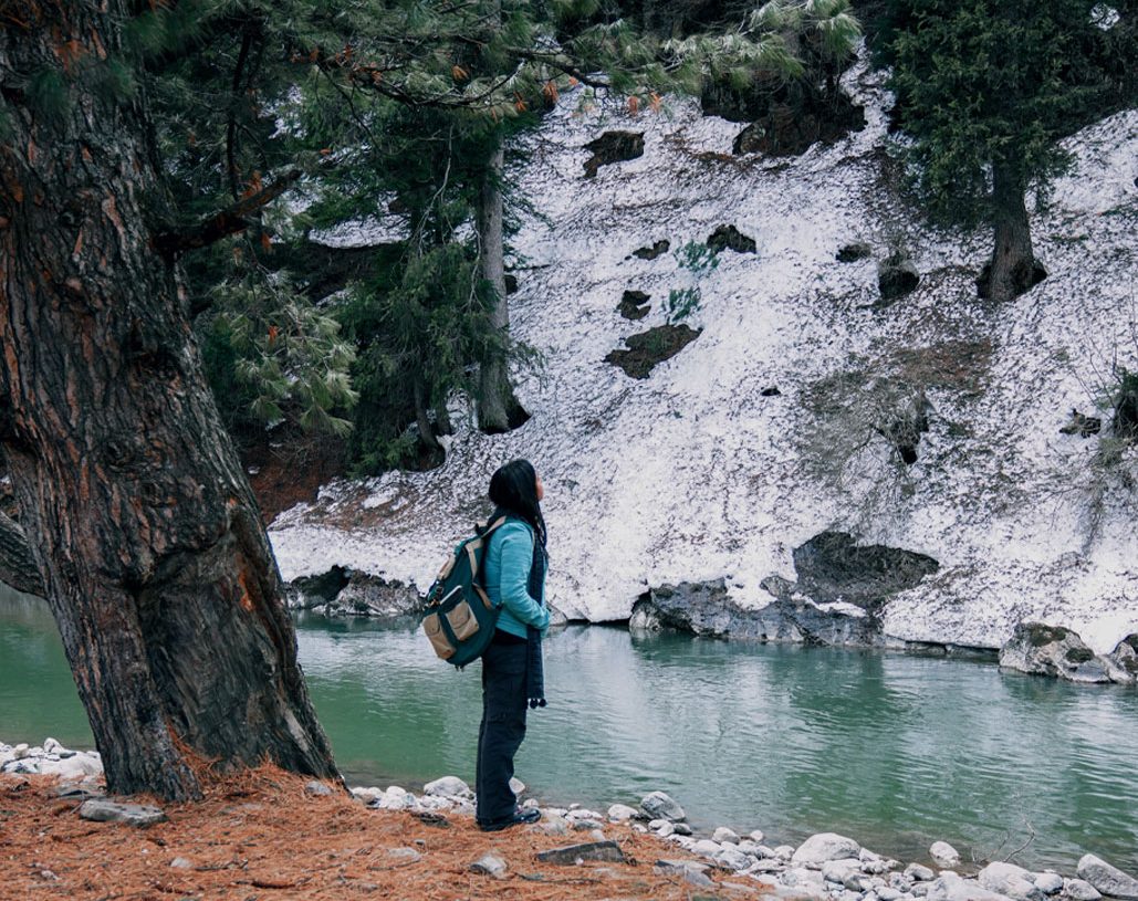 kashmir